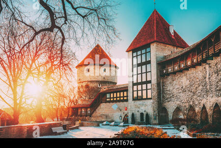 Tallinn, Estonia. L'ex carcere Neitsitorn Torre nella vecchia di Tallinn. Da nubile della medievale torre in inverno Sunrise nella mattina di sole. Sole che splende attraverso Woo Foto Stock