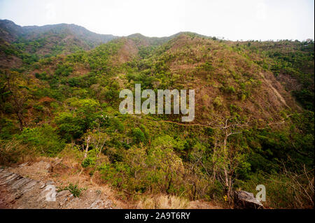 Una fitta foresta a valle Nandhour, Kumaon Hills, Uttarakhand, India Foto Stock