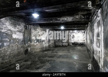 Interno della camera del gas in Auschwitz I, Polonia Foto Stock