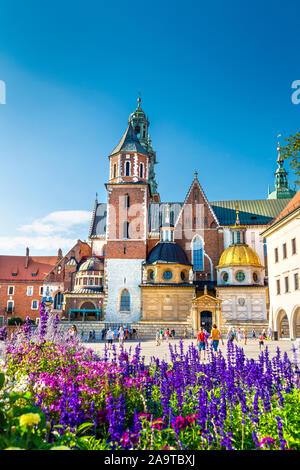 Esterno della cattedrale di Wawel sul colle di Wawel, Cracovia in Polonia Foto Stock