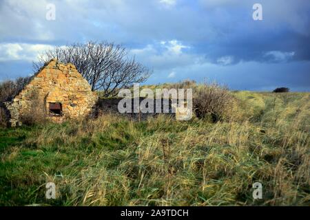 Casa in rovina la Scozia Foto Stock