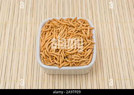 Piatto di Mealworms commestibili / Tenebrio molitor sulla stuoia di bambù. Per entomofagia, insetti commestibili, insetto superfoods, insetto spuntini, insetti come cibo, i nuovi prodotti alimentari Foto Stock