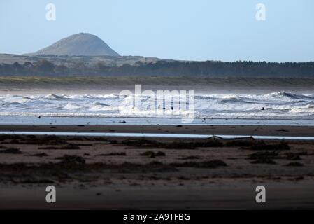 Bass Rock Foto Stock