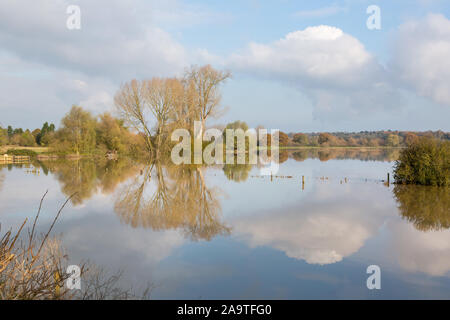 Barford Golena 16 Novembre 2019 Foto Stock