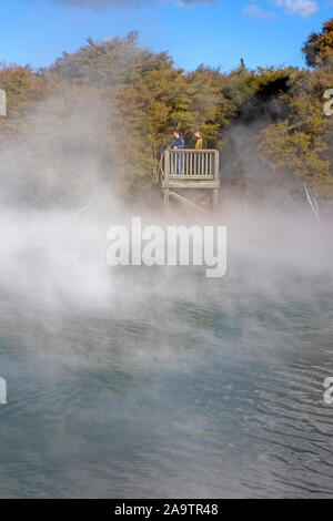 Il vapore si riversa fuori Kuirau lago nel parco Kuirau nel centro di Rotorua Foto Stock