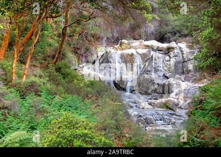 Il caldo-acqua Lakshmi cade in Hell's Gate area geotermica Foto Stock