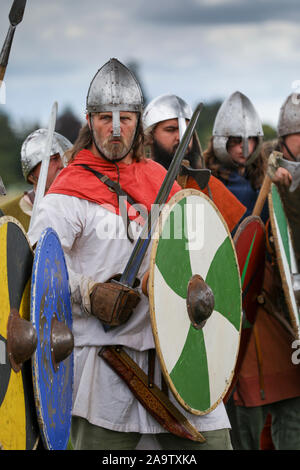 Viking guerrieri in una parete di scudo Foto Stock