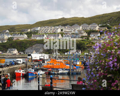 Porto di Mallaig Foto Stock