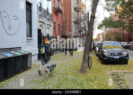 Ginkgo albero lascia tappeto un marciapiede nel quartiere East Village di Manhattan dopo un freddo scatto a New York City (13 novembre 2019) Foto Stock