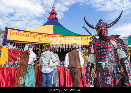 Deerfield Beach Florida, Quiet Waters Park, Florida Renaissance Festival, costume, casco con corna vichinga, FL100214108 Foto Stock