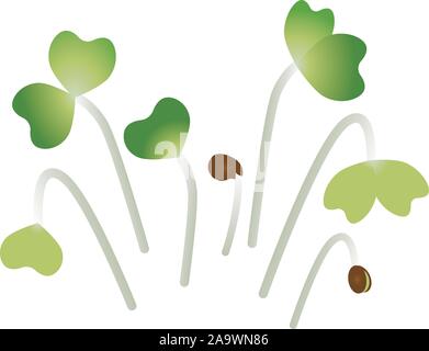 Microgreens Pak Choi. Mazzetto di piante. Integratore vitaminico, cibo vegan. Illustrazione Vettoriale, stile semplice con gradiente. Illustrazione Vettoriale