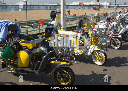 Brighton, Inghilterra - Agosto 24, 2019: scooter sul display lungo la passeggiata sul lungomare presso la spiaggia di Brighton in East Sussex, Inghilterra per 'Mod week-end' Foto Stock