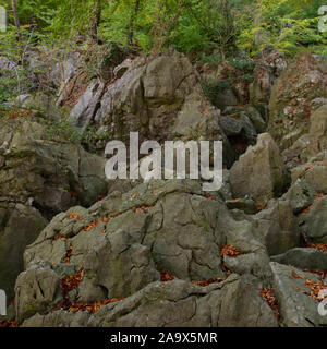 Felsenmeer, famosa Riserva naturale, mare di rocce, rock caos di Hemer, selvaggiamente romantico bosco di faggio in autunno, rientrano, in Germania, in Europa. Foto Stock