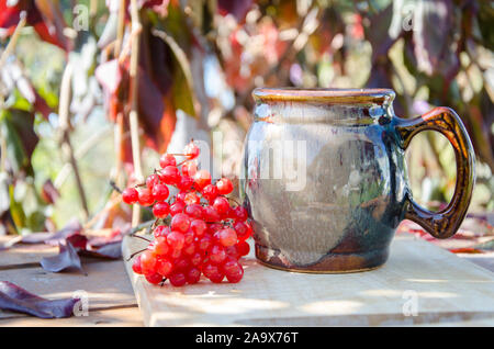 Ancora in vita. Tazza di argilla con il tè caldo. Rametto di pallon di maggio per la decorazione. Contro lo sfondo di foglie di autunno. Foto Stock