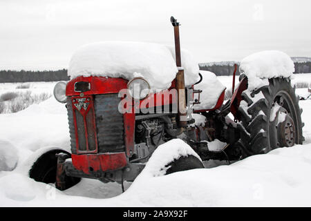 Eingeschneiter alter Traktor, Massey Ferguson Oldtimer im Winter, Lappland, Finnland Foto Stock