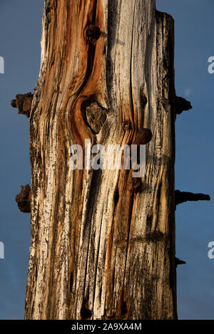 Il molo di legno verticale, Abersoch Beach, il Galles. Foto Stock