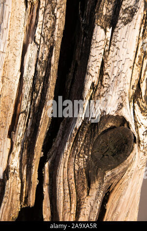 Il molo di legno verticale, Abersoch Beach, il Galles. Foto Stock