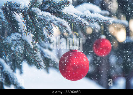 Close-up di Natale rosso Baubles appesi sugli alberi al di fuori in una pesante nevicata. Questa immagine è stata scattata a Kaarina, Finlandia. Foto Stock