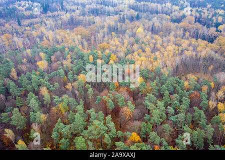 Vista aerea in Wiaczyn Riserva Naturale nella contea di Nowosolna nel voivodato di Lodz, Polonia Foto Stock