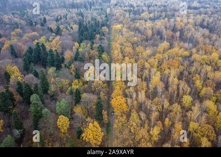 Vista aerea in Wiaczyn Riserva Naturale nella contea di Nowosolna a Lodz voivodato di Polonia Foto Stock