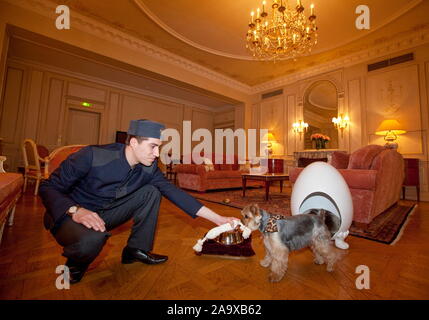 Prendersi cura del vostro cane al MEURICE HOTEL, PARIGI Foto Stock