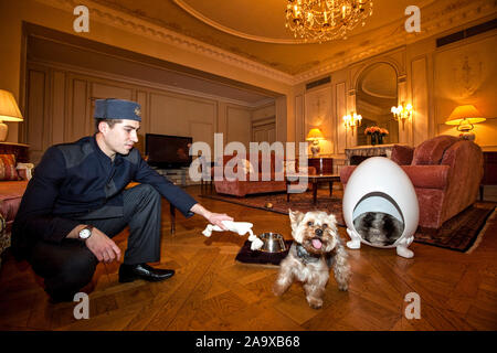 Prendersi cura del vostro cane al MEURICE HOTEL, PARIGI Foto Stock