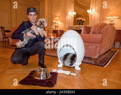 Prendersi cura del vostro cane al MEURICE HOTEL, PARIGI Foto Stock