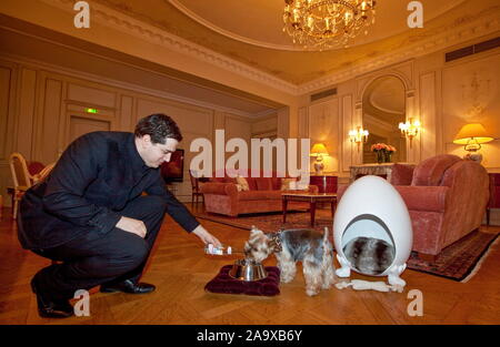 Prendersi cura del vostro cane al MEURICE HOTEL, PARIGI Foto Stock