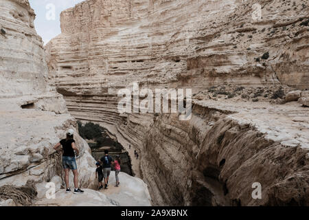 Ein Avdat National Park, Israele. 15 Novembre, 2019. Una vista del fiume Tzin a Ein Avdat National Park, un'oasi naturale in Israele nel deserto del Negev. Credito: Nir Alon/Alamy Live News. Foto Stock