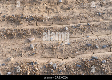 A secco di massa fessurato texture di sfondo. Agricoltura. Concetto della siccità Foto Stock