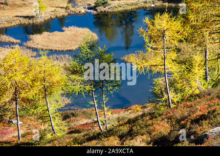 Sunny autunno panorama alpino. Tranquilla foresta di montagna lago con chiare acque trasparenti e riflessioni. Lago Untersee, Reiteralm, Steiermark, Austria. Foto Stock