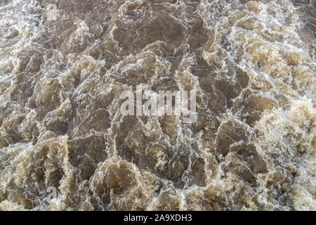 Fiume nella foresta amazzonica Foto Stock