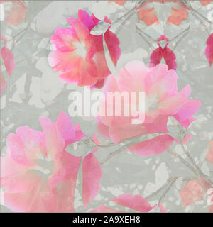 Rosa camelia design Foto Stock