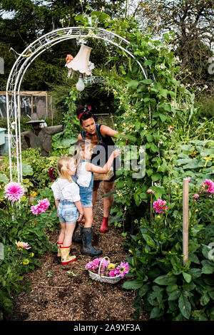 Donna e due ragazze piedi sotto di arco in un giardino, picking fagiolini verdi. Foto Stock