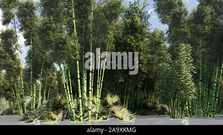 Decarative bellissima foresta di bamboo rendering 3D Foto Stock