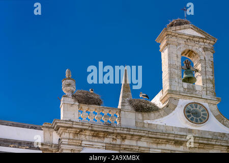 Primo piano delle cicogne nidifica sul faro e attrazione turistica Arco da Vila. Faro, Algarve, Portogallo. Foto Stock