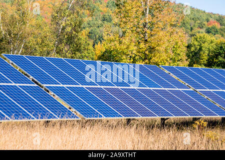 Pannelli solari in un campo con colori d'autunno alberi in background su un giorno di sole Foto Stock