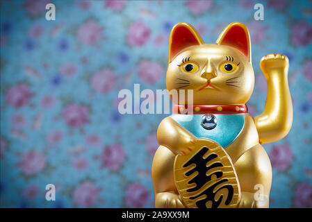 Maneki Neko, Goldon lucky cat con sfondo colorato, cartolina postale. Giappone, Cina, Asia, Gatto porta fortuna e ricchezza Foto Stock