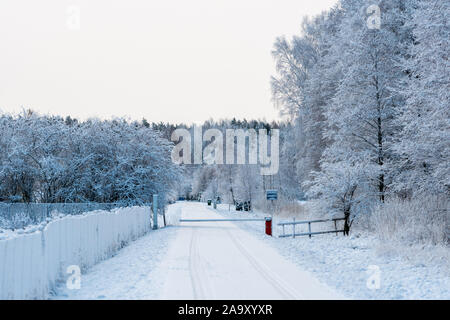 Strada innevata in inverno alberi smerigliato, gelo invernale. inverno marea, periodo invernale - immagine Foto Stock