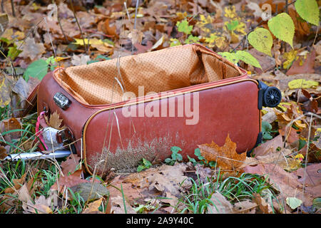 Vecchio rovinato valigia nel bosco Foto Stock