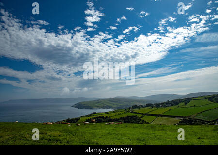 Torr Head scenic si affacciano vicino a Ballycastle, Irlanda del Nord Foto Stock