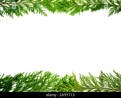 Albero della vita modello modello di telaio Foto Stock