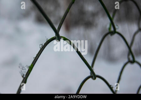 Recinzione catena a maglie-link in inverno. Rombico modello in acciaio. Foto Stock