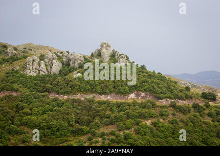 Boscoso pendio di montagna con il sempreverde conifere in un pittoresco paesaggio estivo vista. Foto Stock