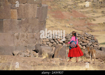 Donna in abiti tradizionali con lama seduta su pietra a Puno - Peru. Foto Stock