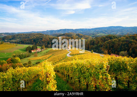 Famoso a forma di cuore la strada del vino in autunno, vista da Spicnik vicino a Maribor, in Slovenia. Foto Stock