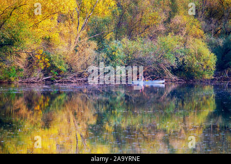 Autunno del tranquillo Lago Tisza paesaggio in Ungheria Foto Stock