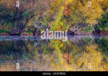 Autunno del tranquillo Lago Tisza paesaggio in Ungheria Foto Stock