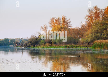 Autunno del tranquillo Lago Tisza paesaggio in Ungheria Foto Stock