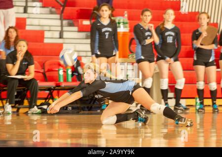 I membri del team guarda come Johns Hopkins University femminile di pallavolo immersioni player su un ginocchio per restituire la palla durante una conferenza Centennial semifinale partita con Franklin Marshall e College, Maryland, Novembre 6, 2010. Dall'Homewood raccolta di fotografie. () Foto Stock